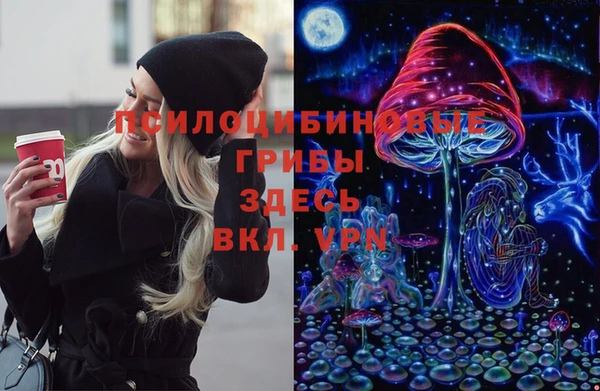 МДПВ Бородино