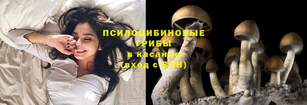 МДПВ Бородино