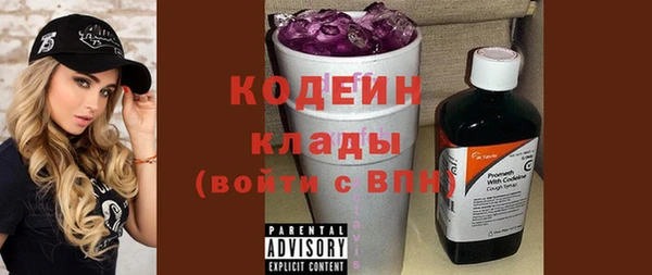 МДПВ Бородино