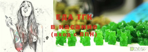 МДПВ Бородино