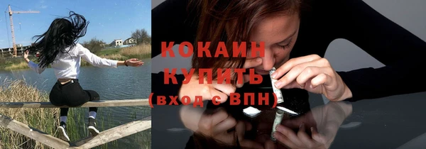 МДПВ Бородино