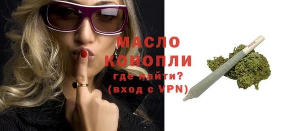 МДПВ Бородино