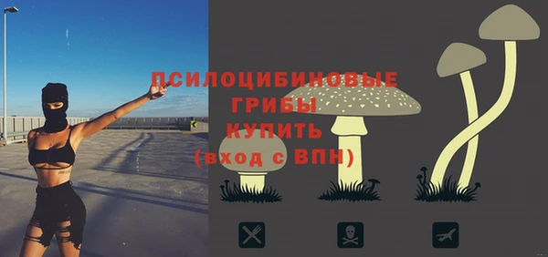 МДПВ Бородино