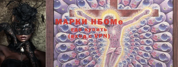МДПВ Бородино