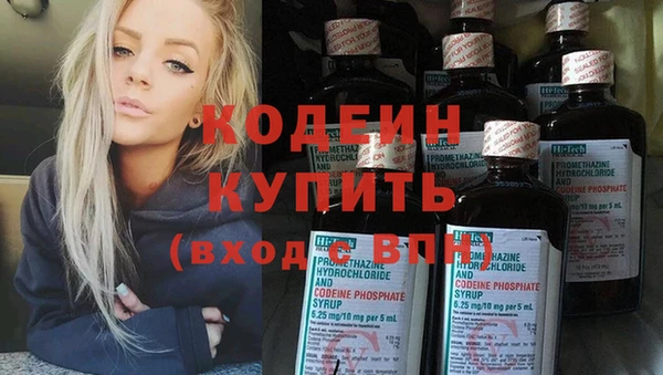 МДПВ Бородино