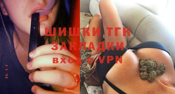 МДПВ Бородино